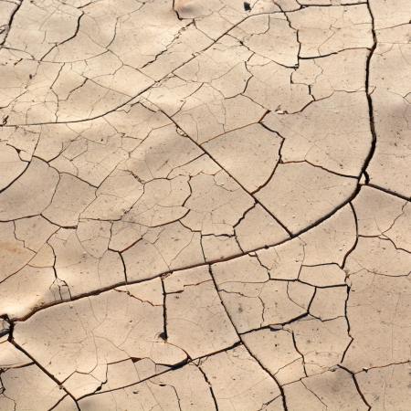 Dry, cracked land.